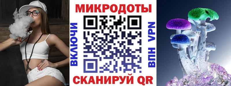Псилоцибиновые грибы Psilocybe  Лесосибирск 